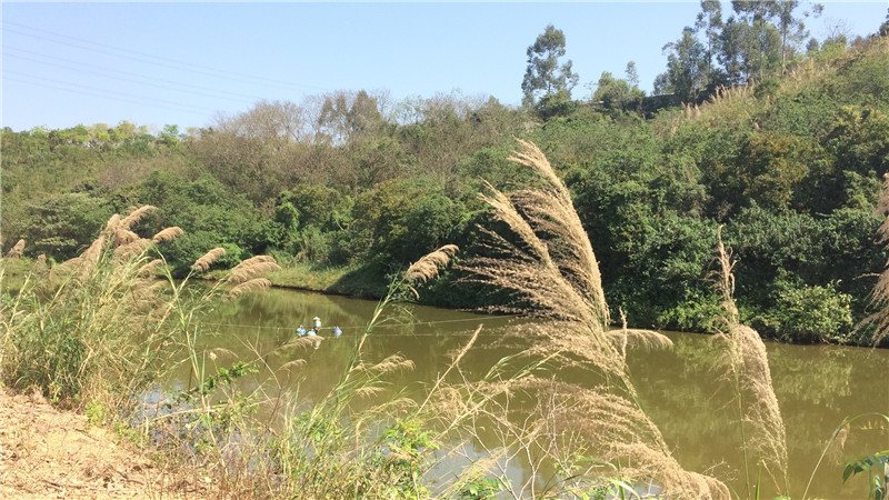 鎰辰,鎰辰集團(tuán),鎰辰智造